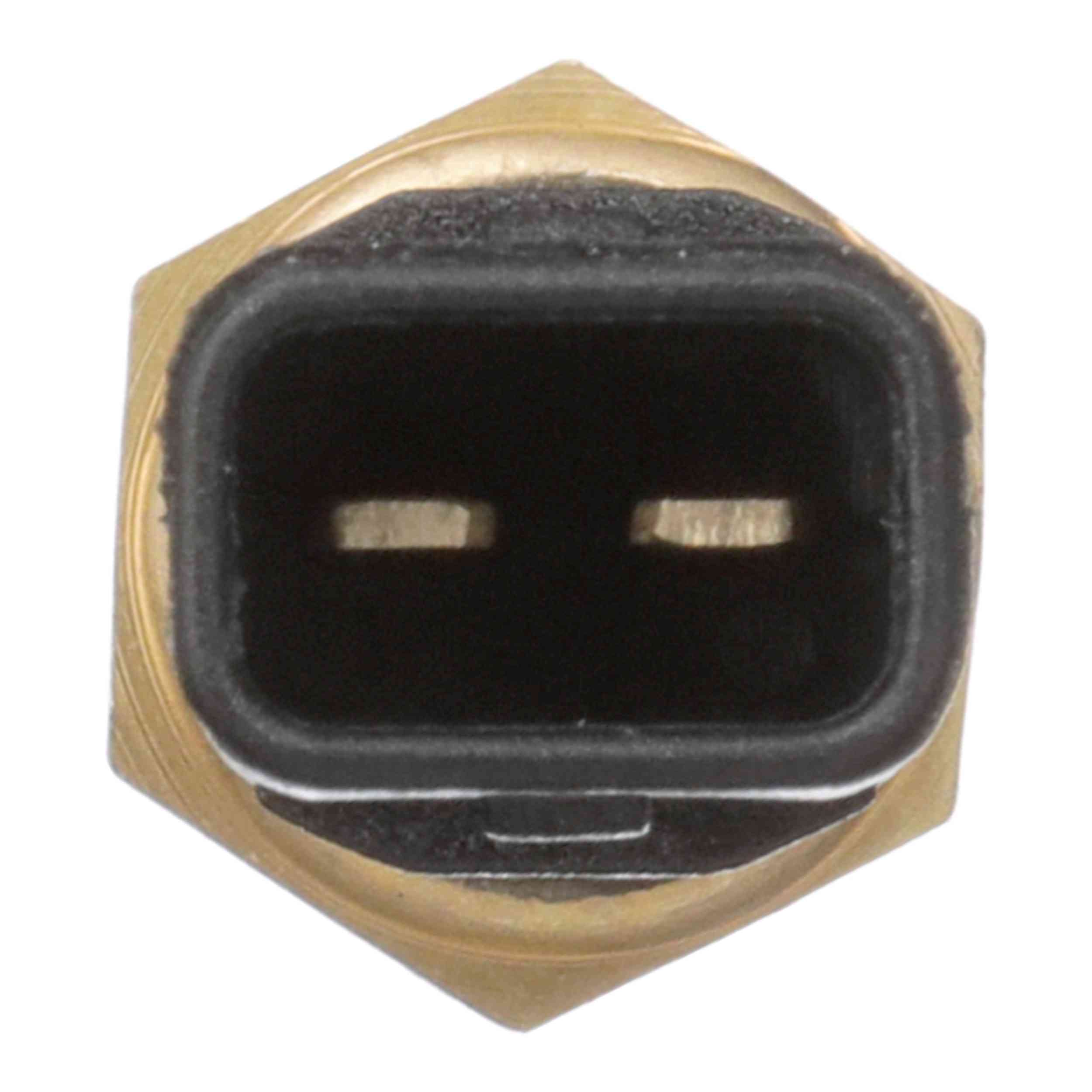 Delphi Engine Coolant Temperature Sensor TS10295