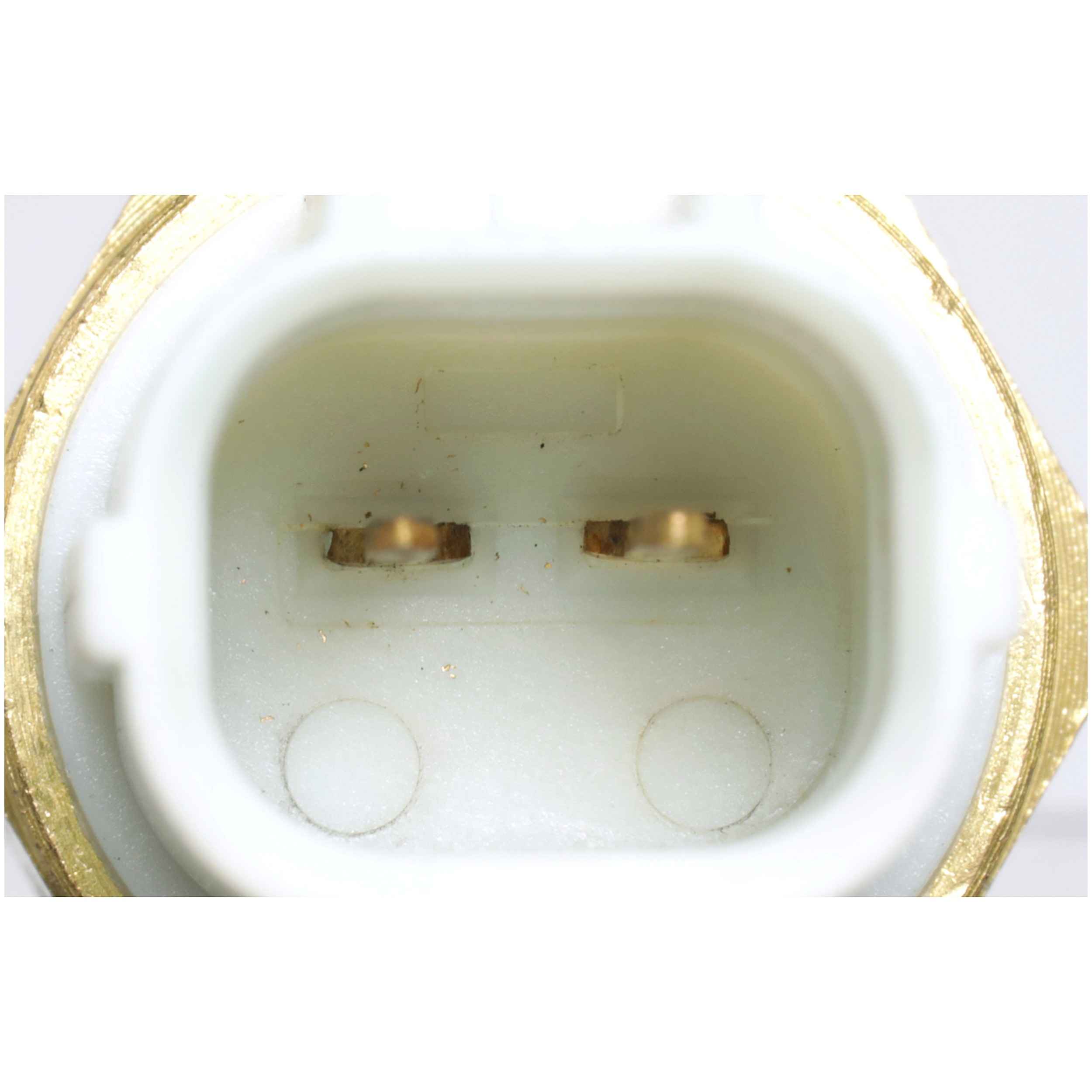 Delphi Engine Coolant Temperature Sensor TS10296