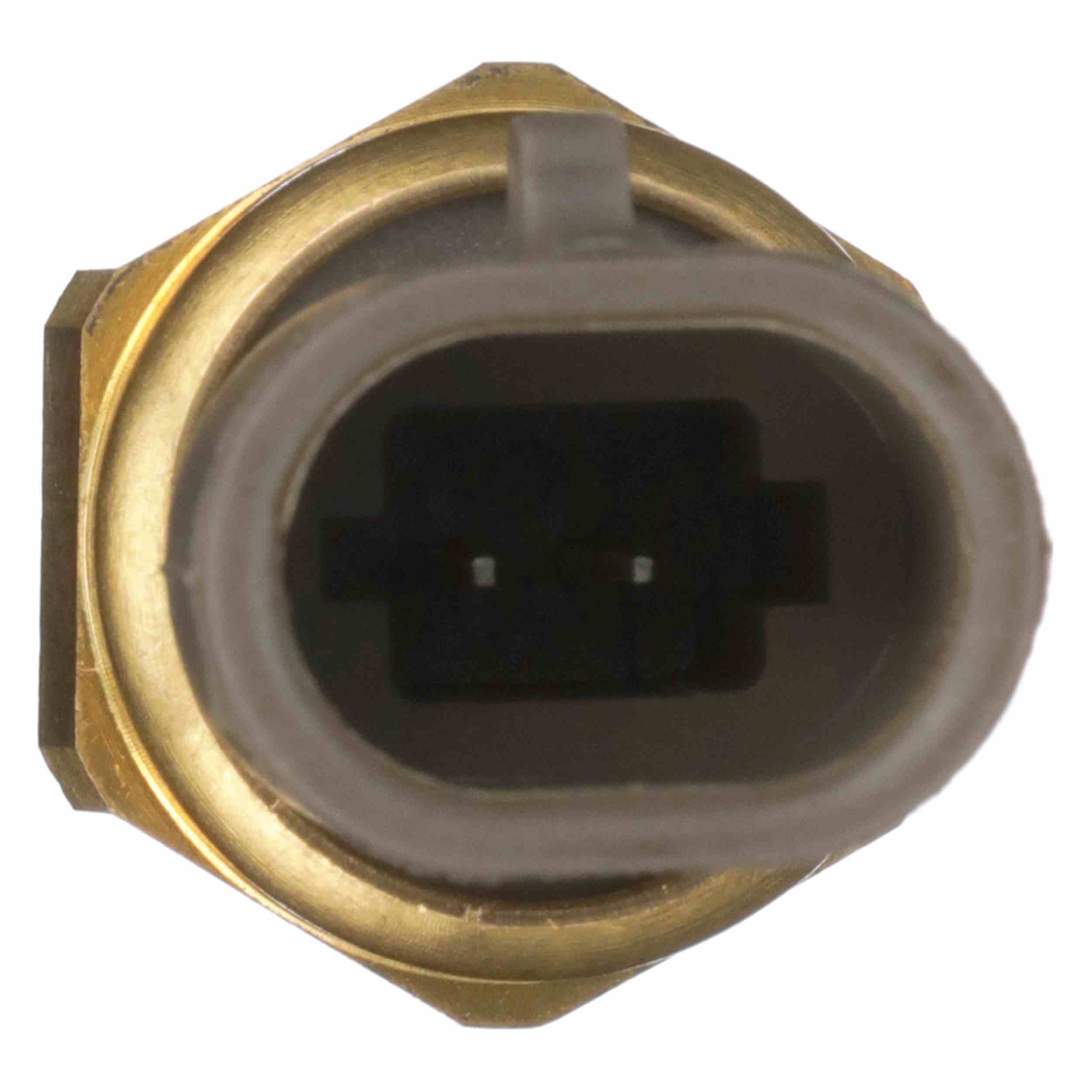 Delphi Air Charge Temperature Sensor TS10534