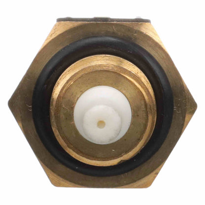 Delphi Air Charge Temperature Sensor TS10535