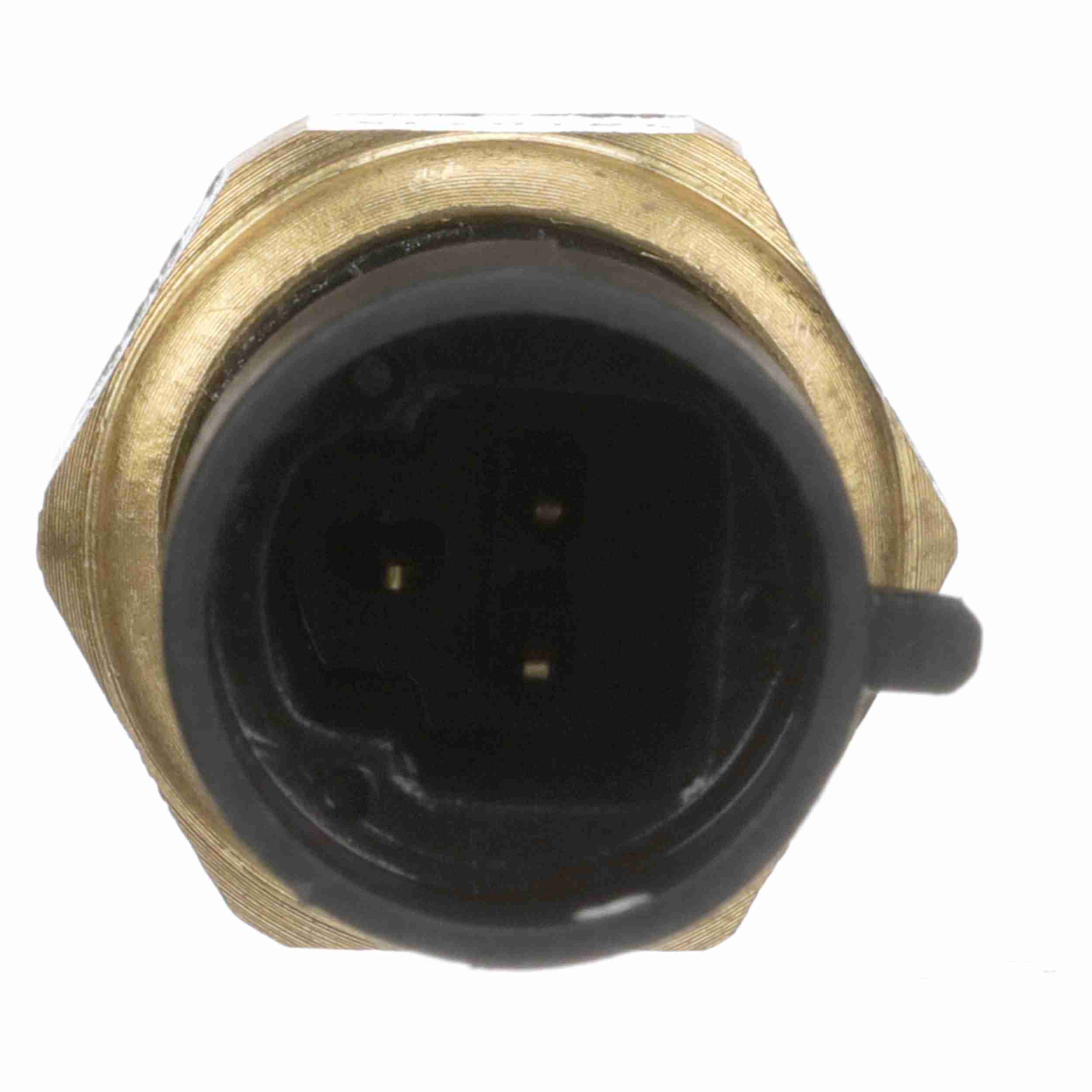 Delphi Engine Coolant Temperature Sensor TS10545