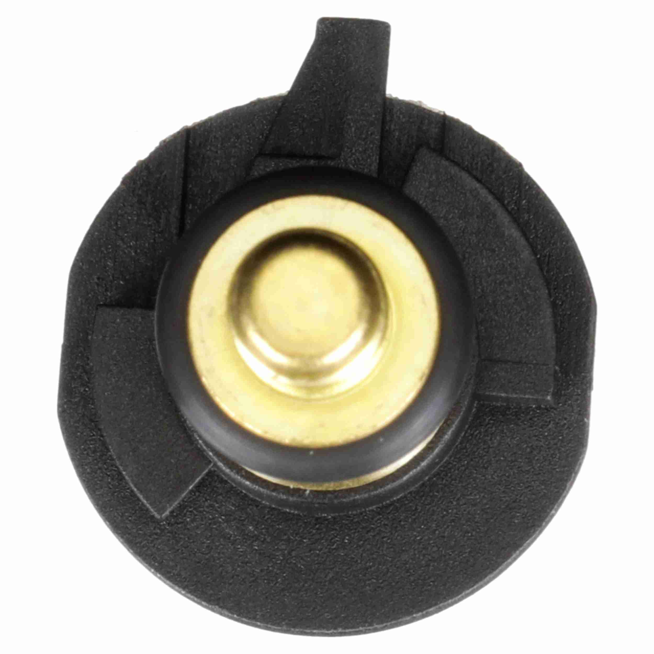 Delphi Engine Coolant Temperature Sensor TS10546