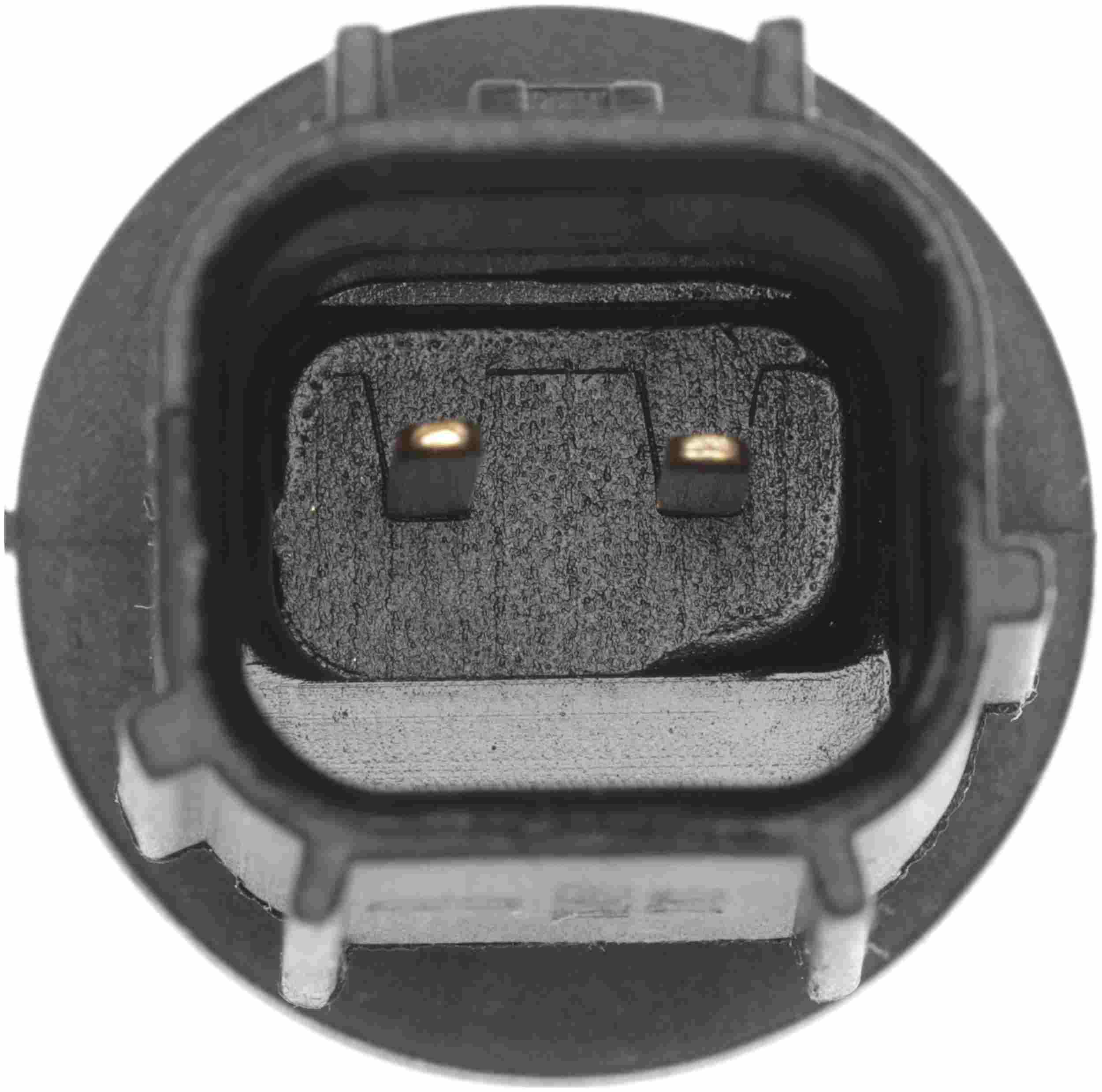 Delphi Air Charge Temperature Sensor TS10553