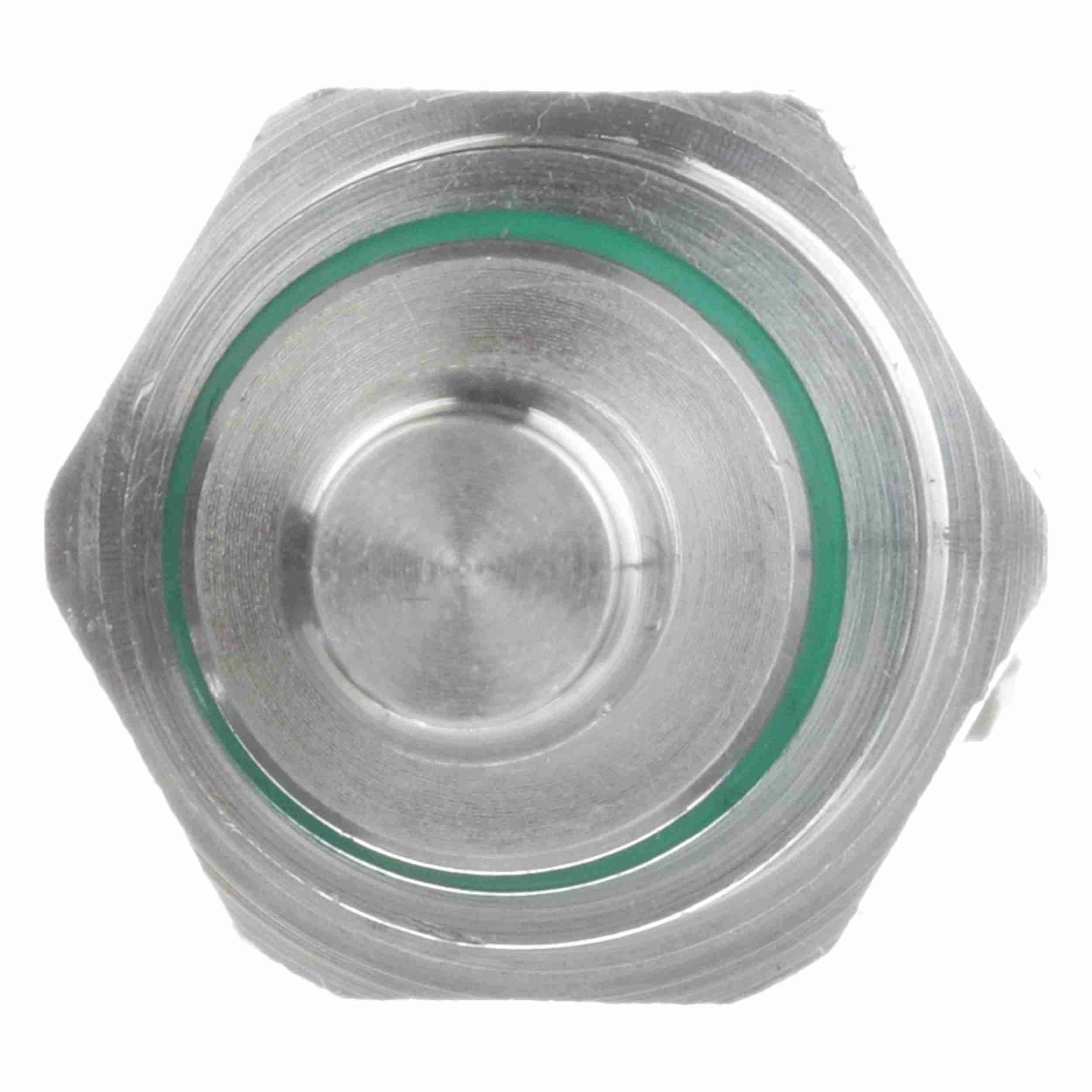 Delphi Engine Coolant Temperature Sensor TS10574