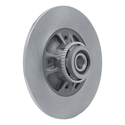 DFC 02-10 Renault Clio (Mexico) Rear Brake Rotor 600-92012