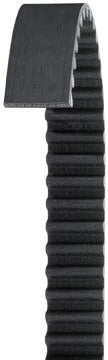 Dayco Engine Timing Belt 225L100