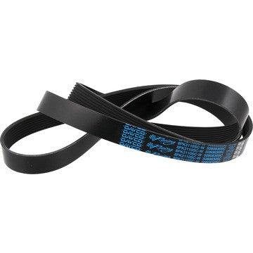 Dayco Serpentine Belt 5080830SC