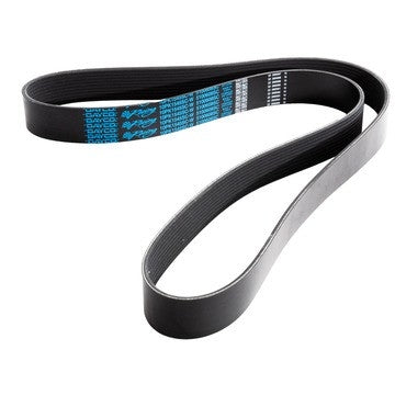 Dayco Serpentine Belt 5100608