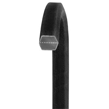 Dayco Accessory Drive Belt AA55
