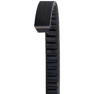Dayco Accessory Drive Belt AX21