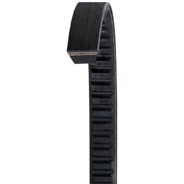 Dayco Accessory Drive Belt BX126