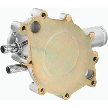 Dayco Engine Water Pump DP10081