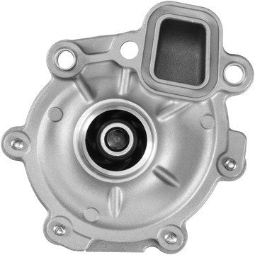 Dayco Engine Water Pump DP1899