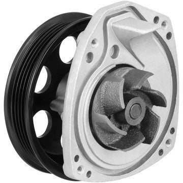 Dayco Engine Water Pump DP1912