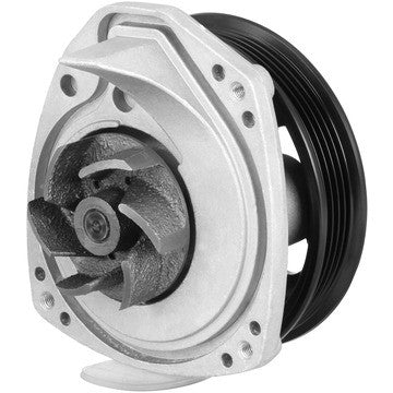 Dayco Engine Water Pump DP1912