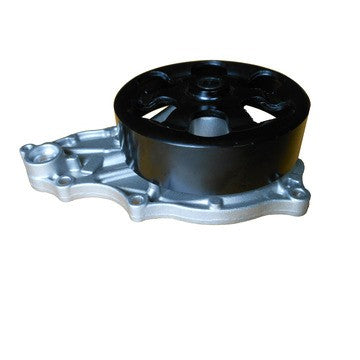 Dayco Engine Water Pump DP1933