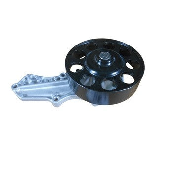 Dayco Engine Water Pump DP1943