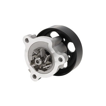 Dayco Engine Water Pump DP453