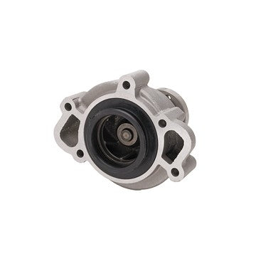 Dayco Engine Water Pump DP804