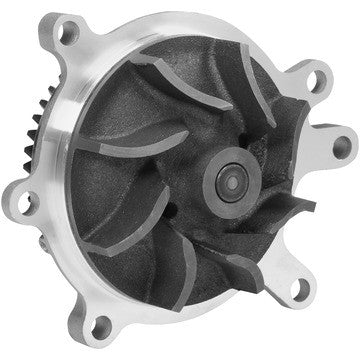 Dayco Engine Water Pump DP807BH