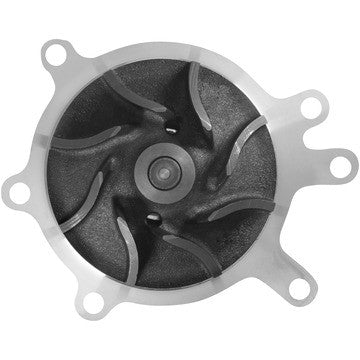 Dayco Engine Water Pump DP807