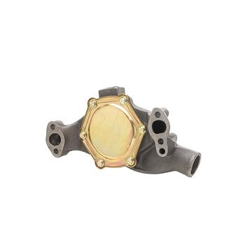 Dayco Engine Water Pump DP819