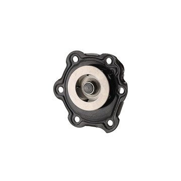 Dayco Engine Water Pump DP975