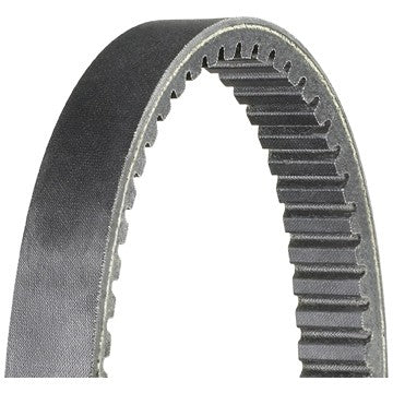 Dayco HP Automatic Continuously Variable Transmission (CVT) Belt HP2015