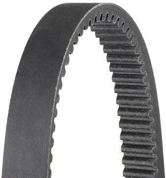 SNOW BELT, DAYCO HP HP3031