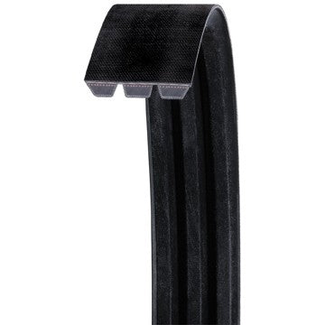 Dayco Accessory Drive Belt RB60-2