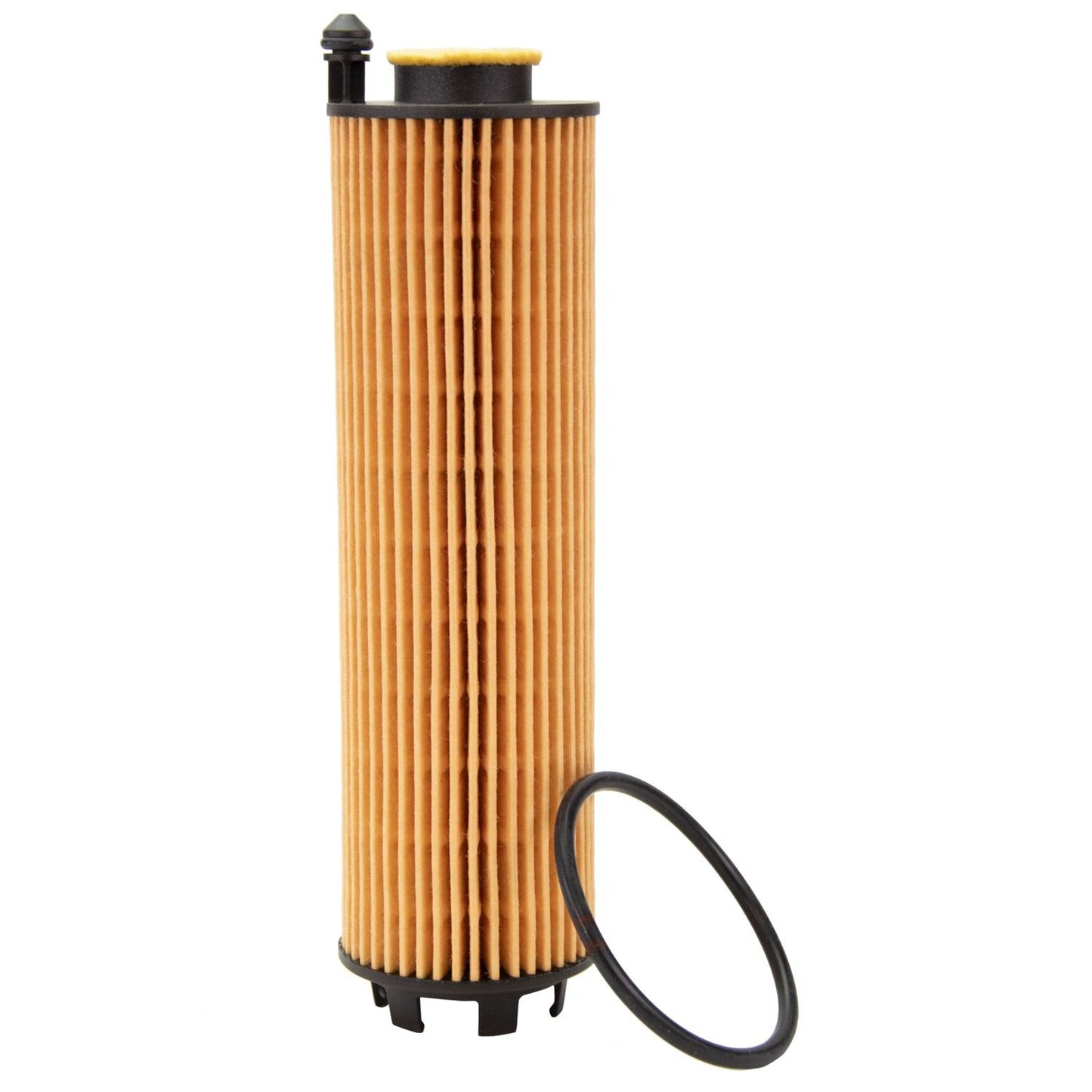 ECOGARD Engine Oil Filter S11901