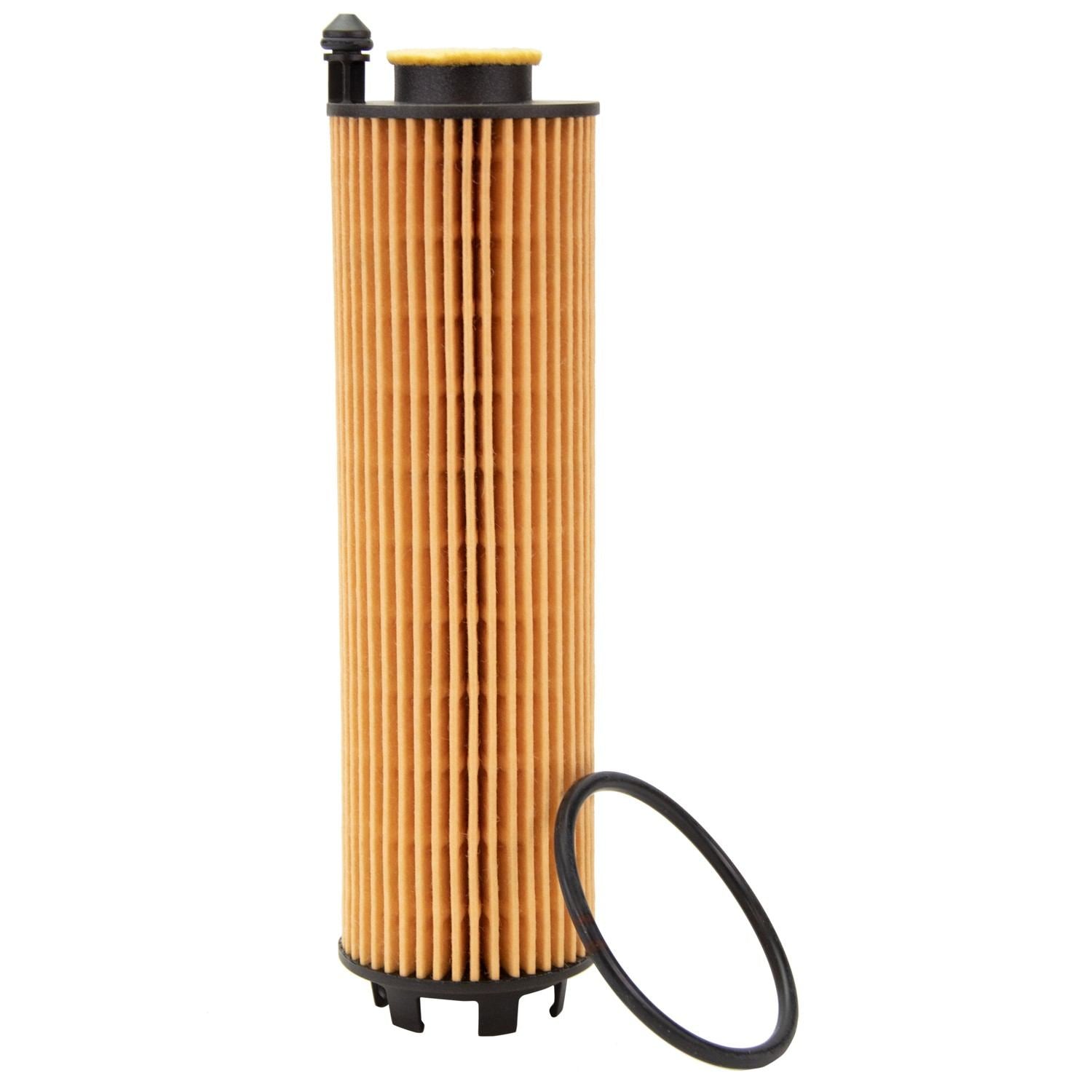 ECOGARD Engine Oil Filter S11901