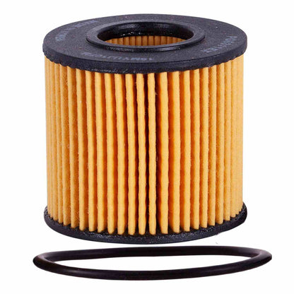 ECOGARD Engine Oil Filter S6311