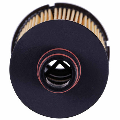 ECOGARD Engine Oil Filter X10239