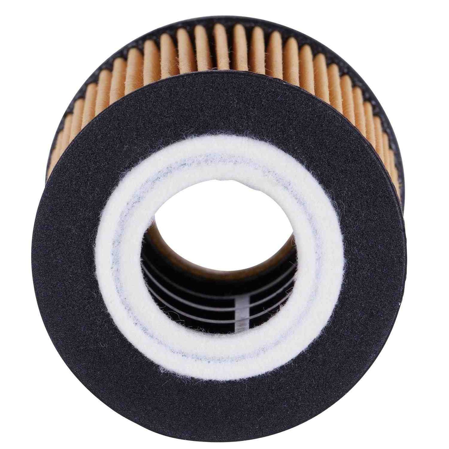 ECOGARD Engine Oil Filter X5505