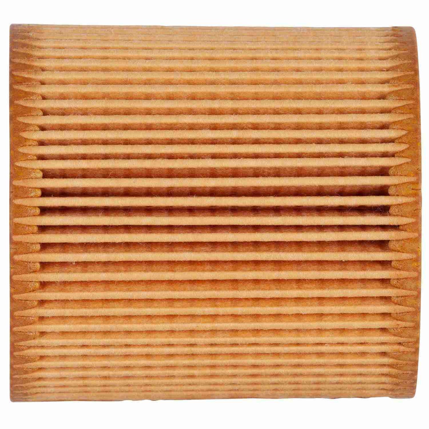 ECOGARD Engine Oil Filter X5607