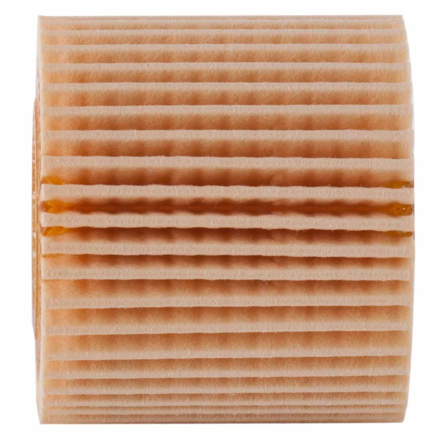 ECOGARD Engine Oil Filter X6160