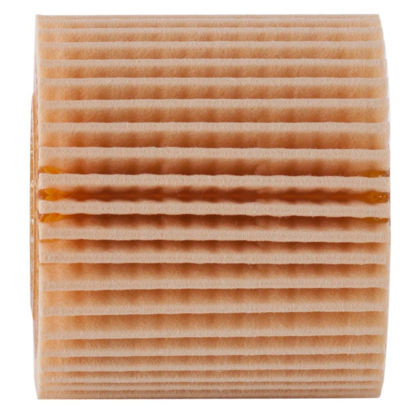 ECOGARD Engine Oil Filter X6160