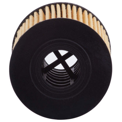 ECOGARD Engine Oil Filter X6162