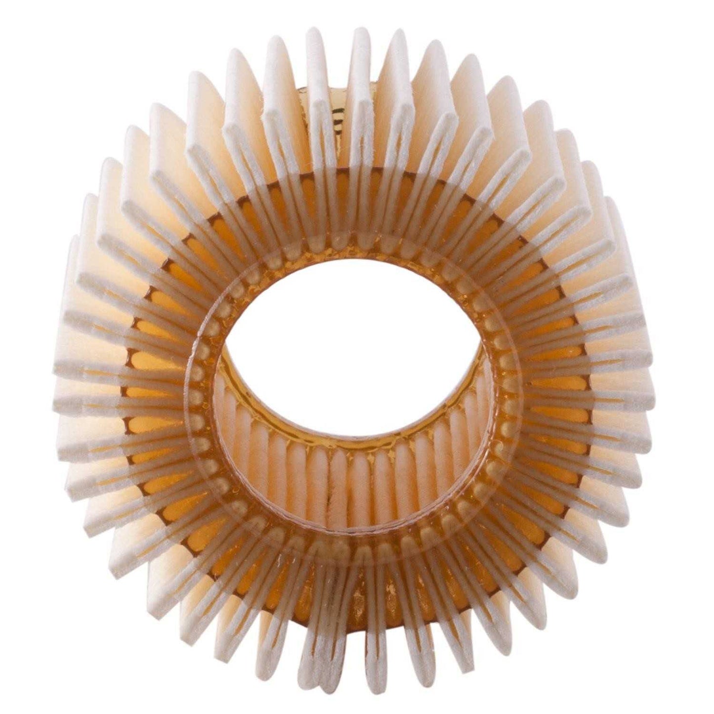 ECOGARD Engine Oil Filter X6311
