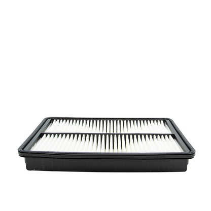 ECOGARD Air Filter XA10007