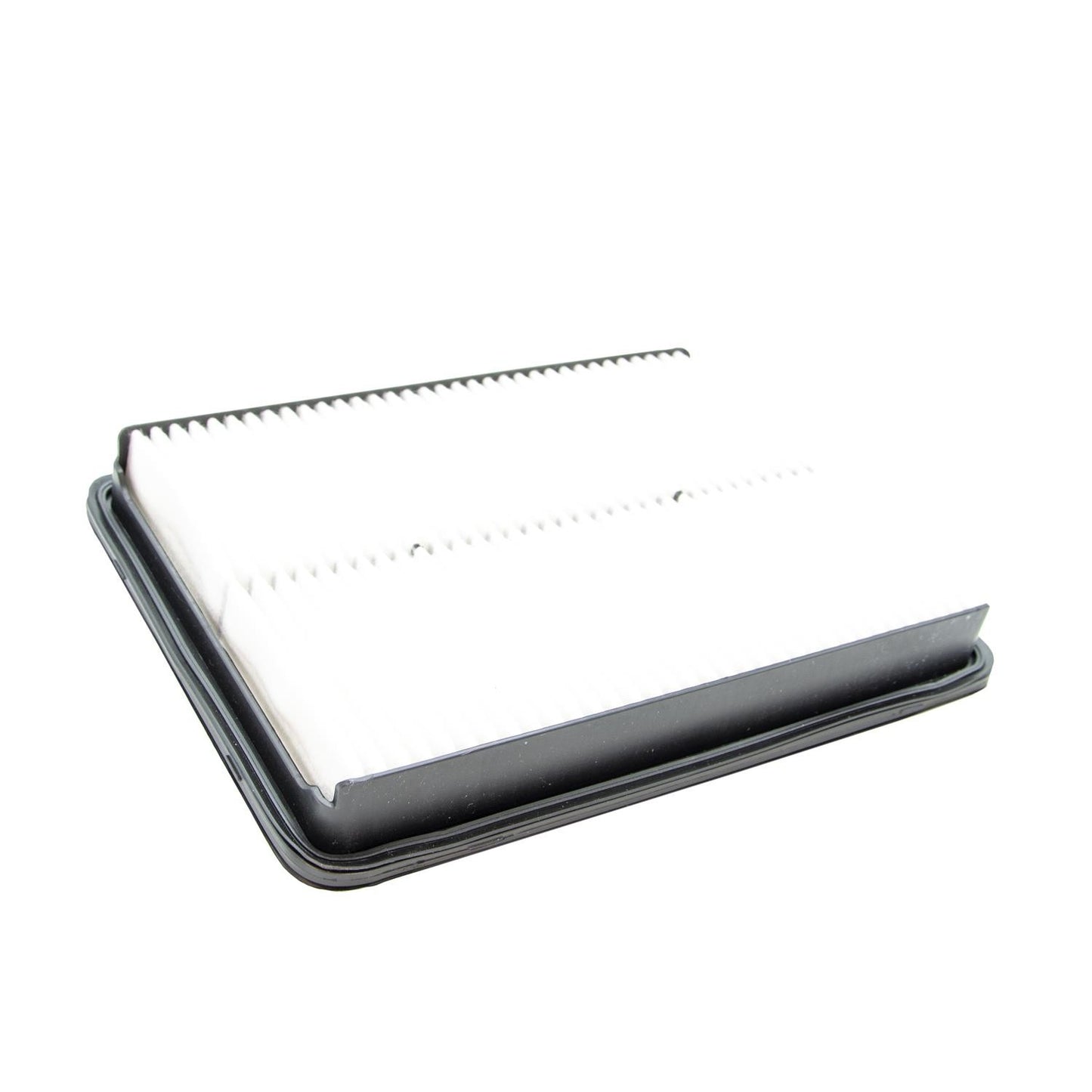 ECOGARD Air Filter XA10007