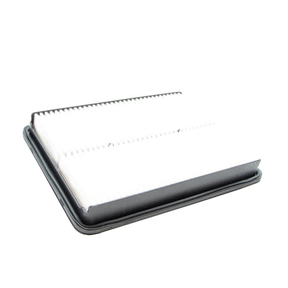 ECOGARD Air Filter XA10007