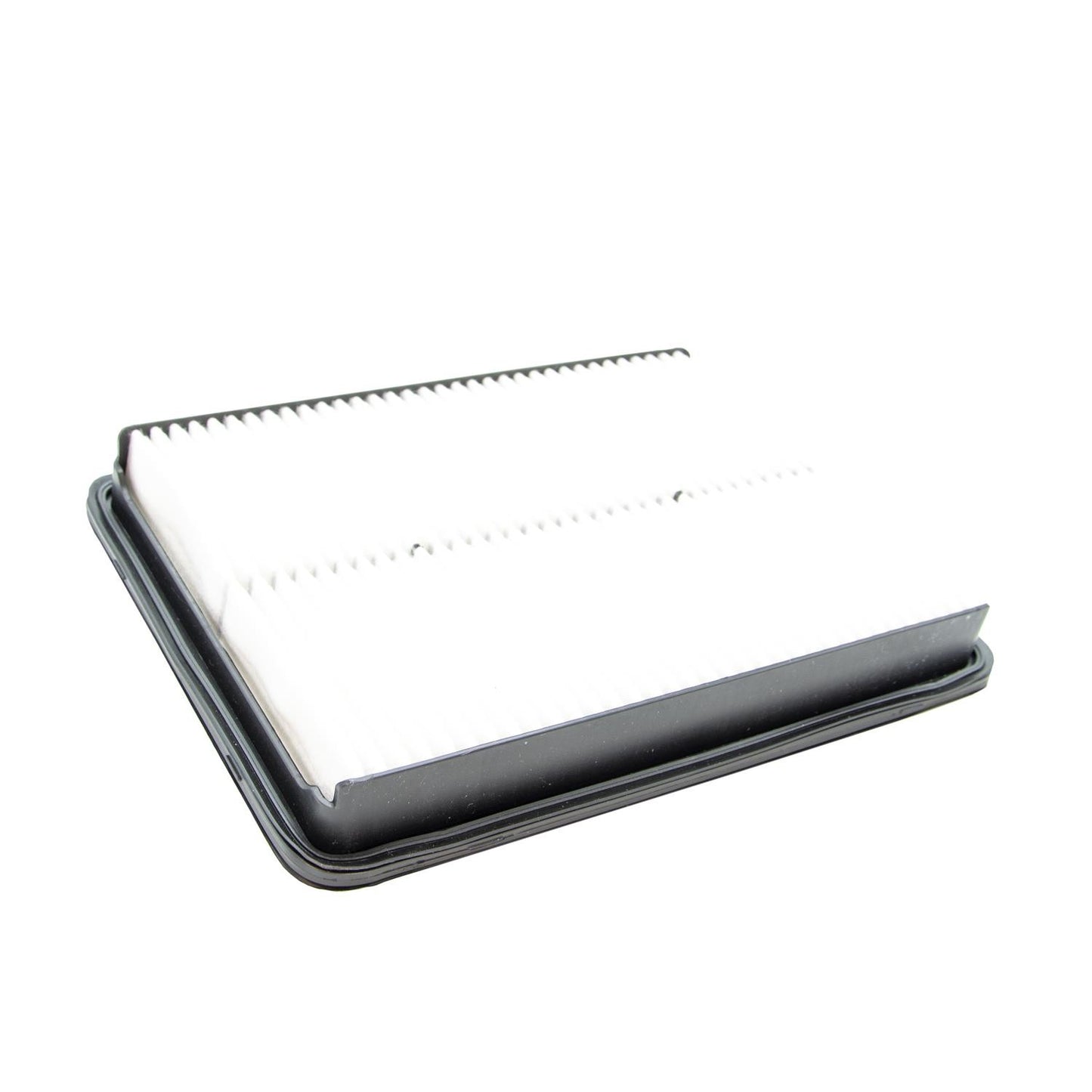 ECOGARD Air Filter XA10007