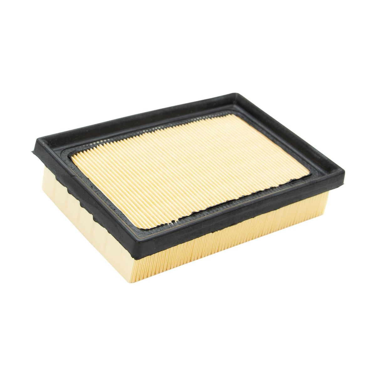ECOGARD Air Filter XA10014
