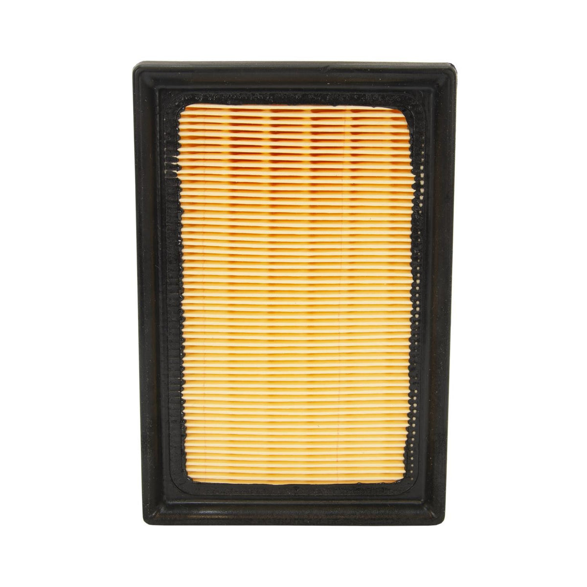 ECOGARD Air Filter XA10014