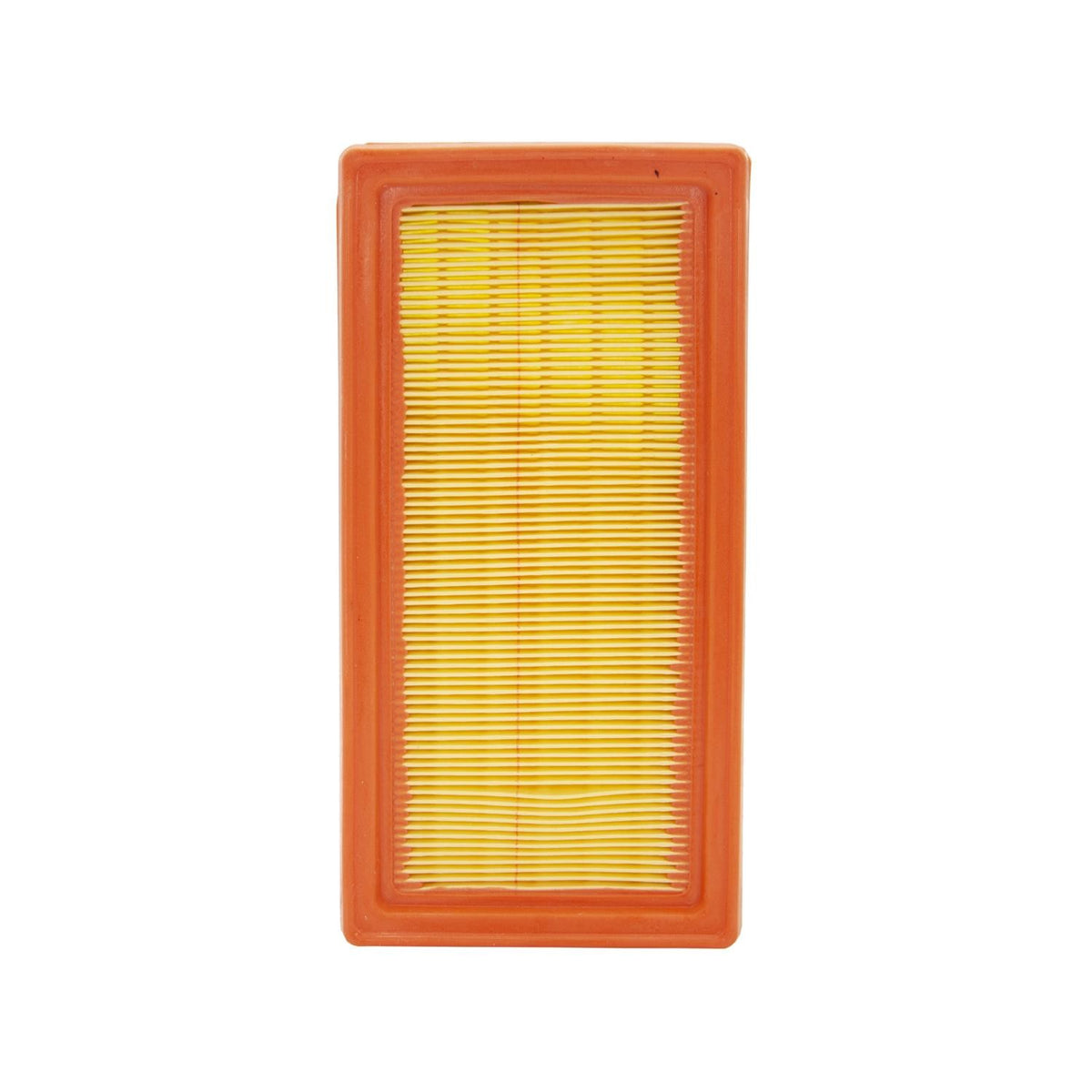 ECOGARD Air Filter XA10025