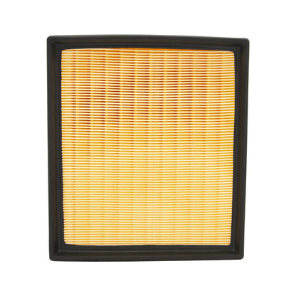 ECOGARD Air Filter XA10190