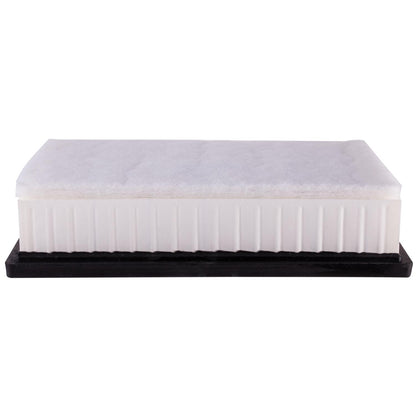 ECOGARD Air Filter XA10242