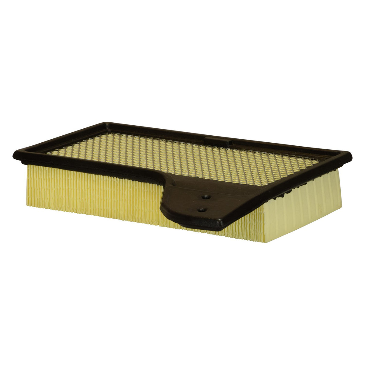 ECOGARD Air Filter XA10421
